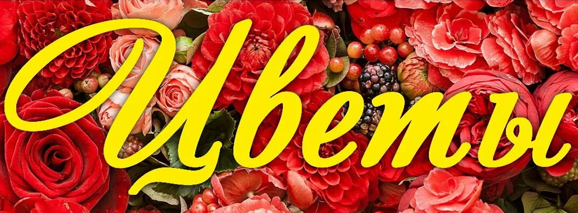 Сделаем скидку по номеру телефона