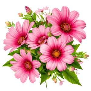 Цветы